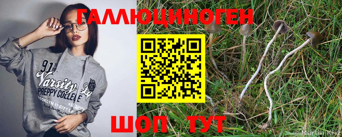 Галлюциногенные грибы мицелий Сунжа