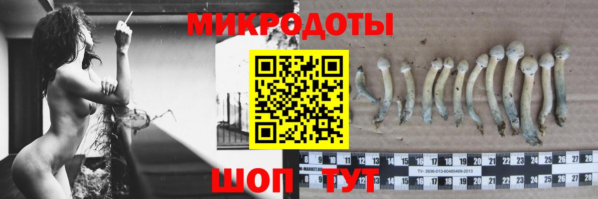 Галлюциногенные грибы GOLDEN TEACHER  Псилоцибиновые грибы MAGIC MUSHROOMS  Вход с VPN  Сунжа 